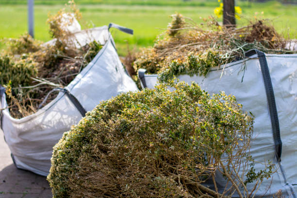 Best Moving and Downsizing Cleanouts  in Wellington, FL
